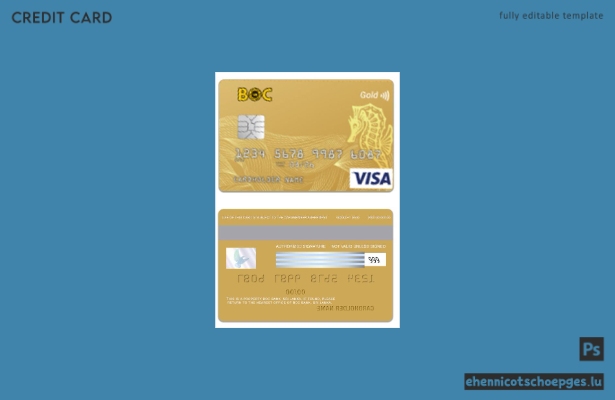 Sri Lanka BOC Bank Visa Goldkarte – Beispielvorschau